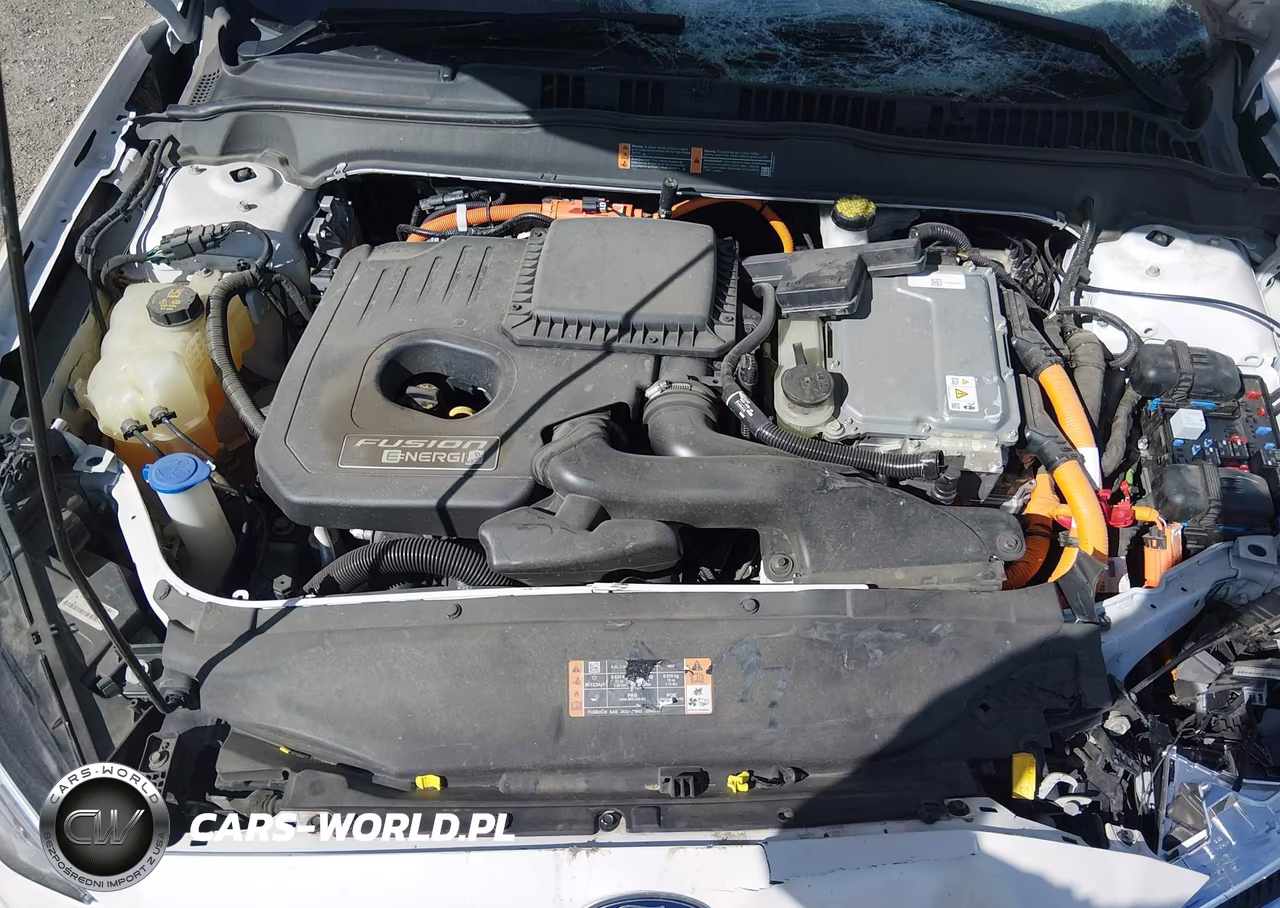 2020 Ford Fusion Plug-In Hybrid Titanium VIN:3FA6P0SU7LR228691 - 10