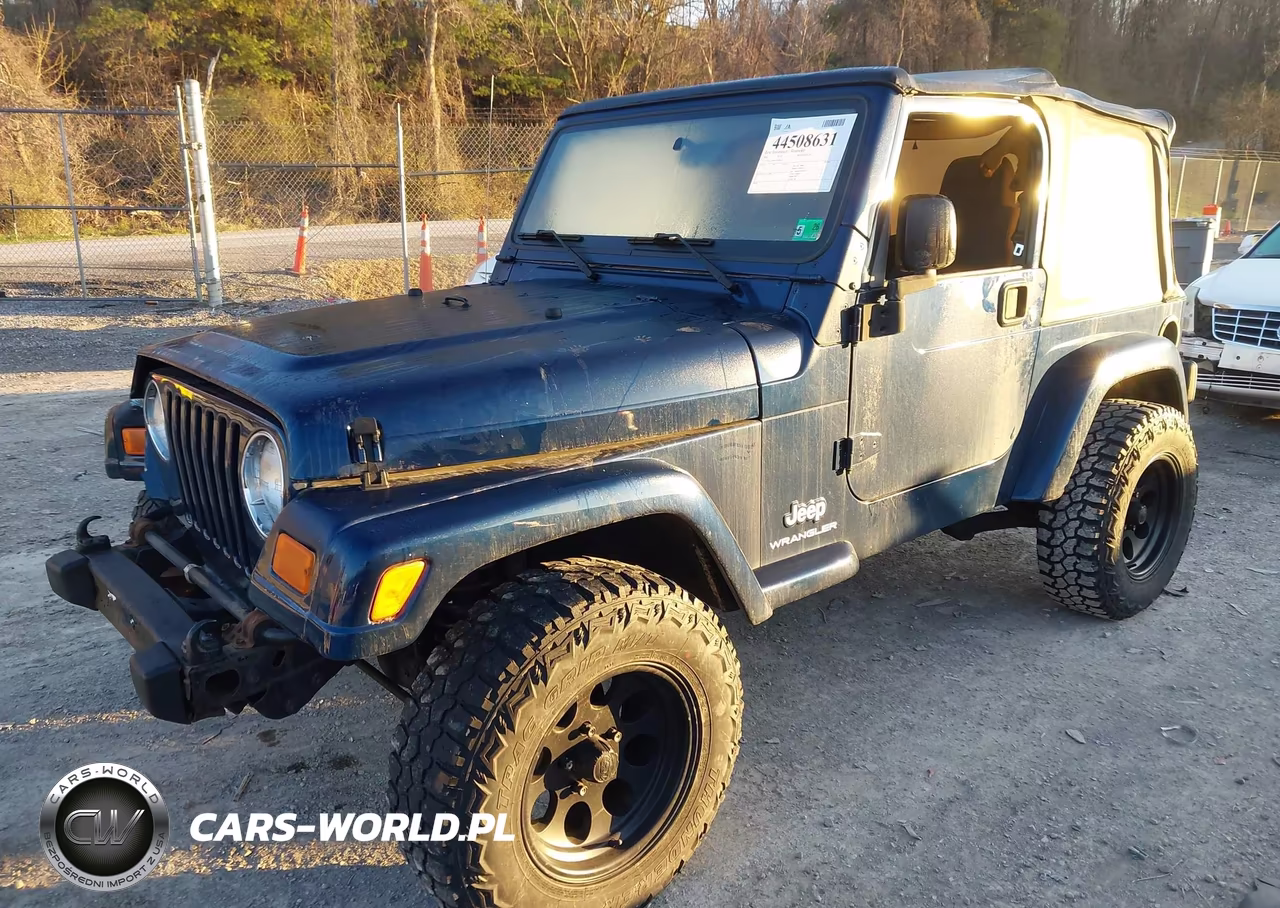 2003 Jeep Wrangler X VIN:1J4FA39S13P368836 - 2