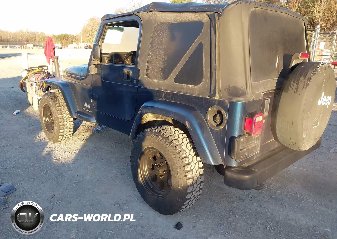 2003 Jeep Wrangler X VIN:1J4FA39S13P368836 - 3