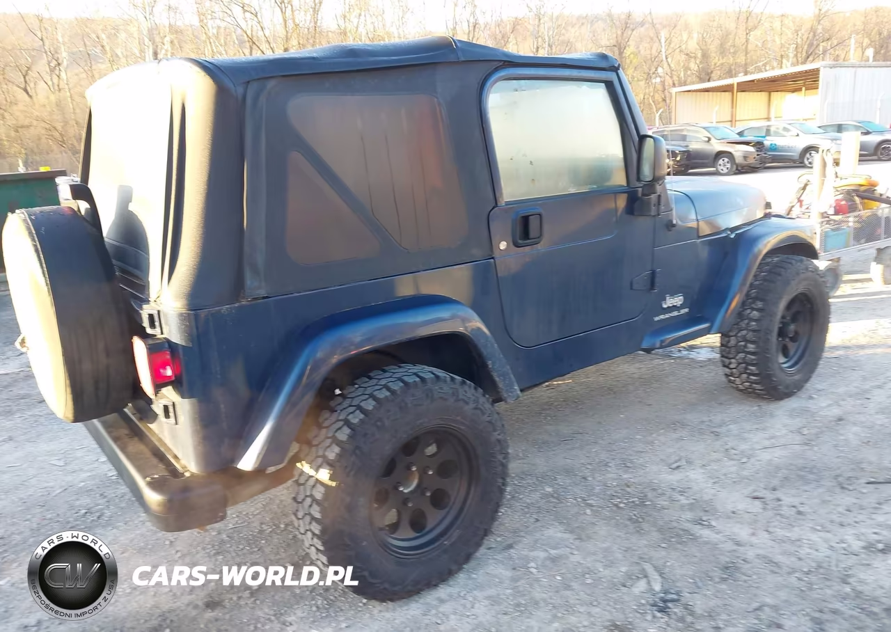 2003 Jeep Wrangler X VIN:1J4FA39S13P368836 - 4