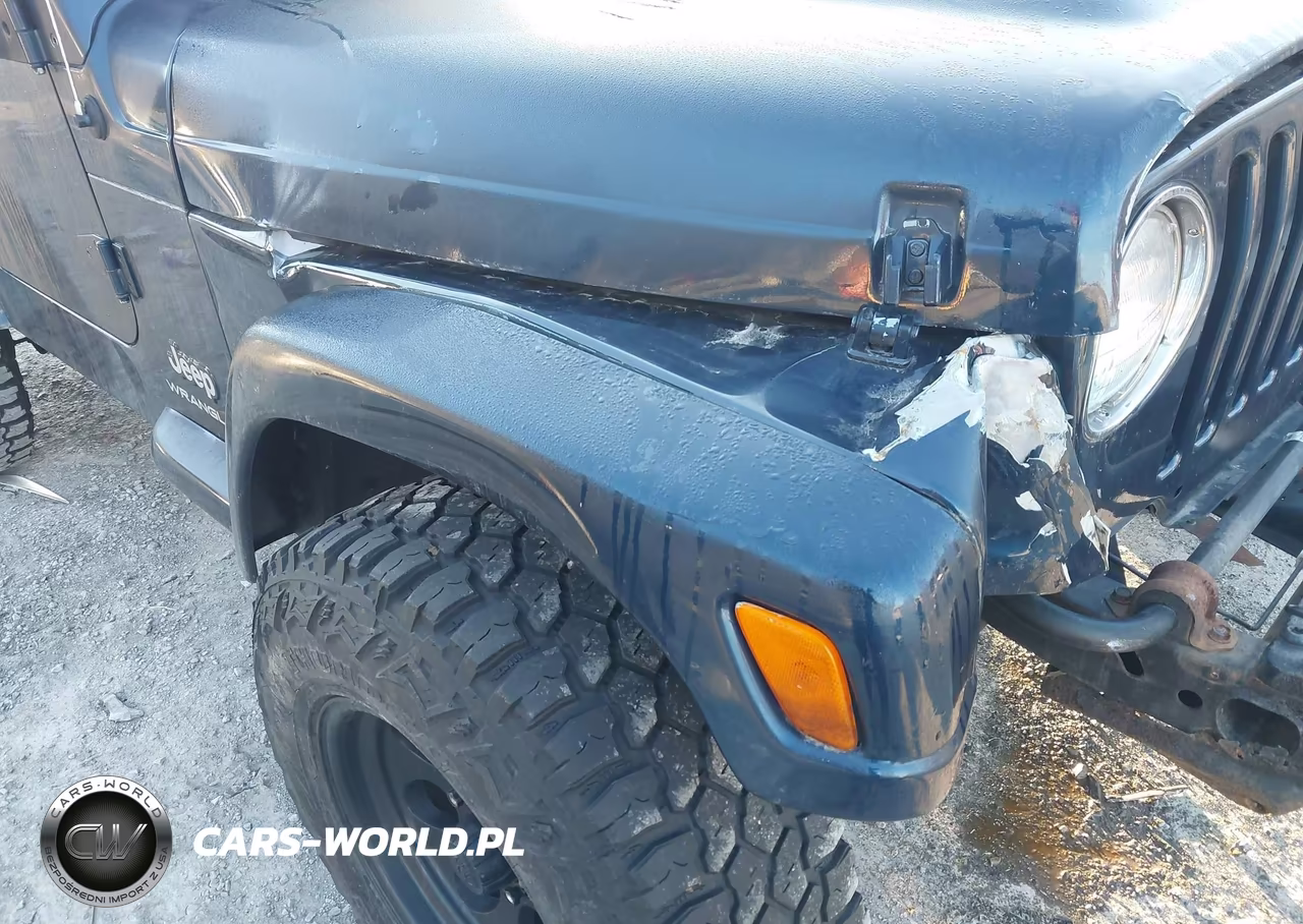 2003 Jeep Wrangler X VIN:1J4FA39S13P368836 - 6