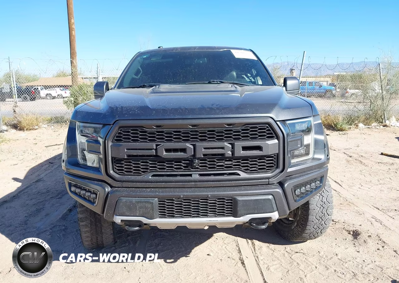 2018 Ford F-150 Raptor VIN:1FTFW1RG5JFC02328 - 12