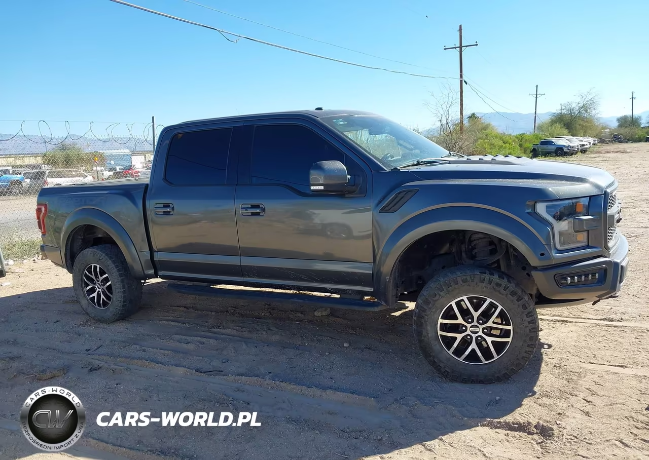 2018 Ford F-150 Raptor VIN:1FTFW1RG5JFC02328 - 13