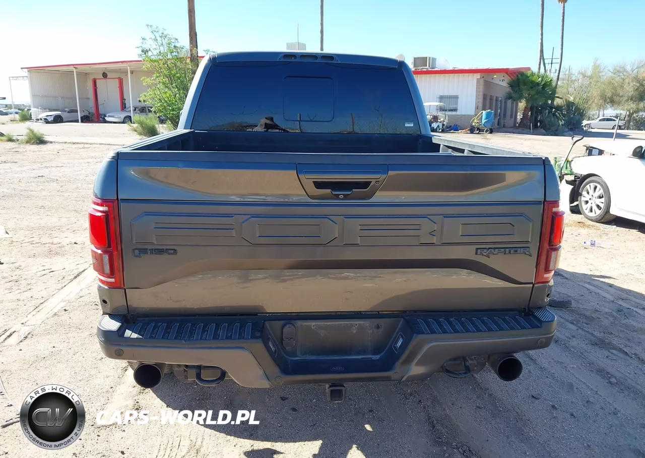 2018 Ford F-150 Raptor VIN:1FTFW1RG5JFC02328 - 16