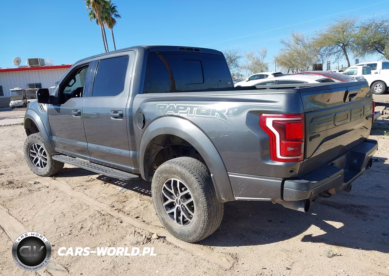 2018 Ford F-150 Raptor VIN:1FTFW1RG5JFC02328 - 3