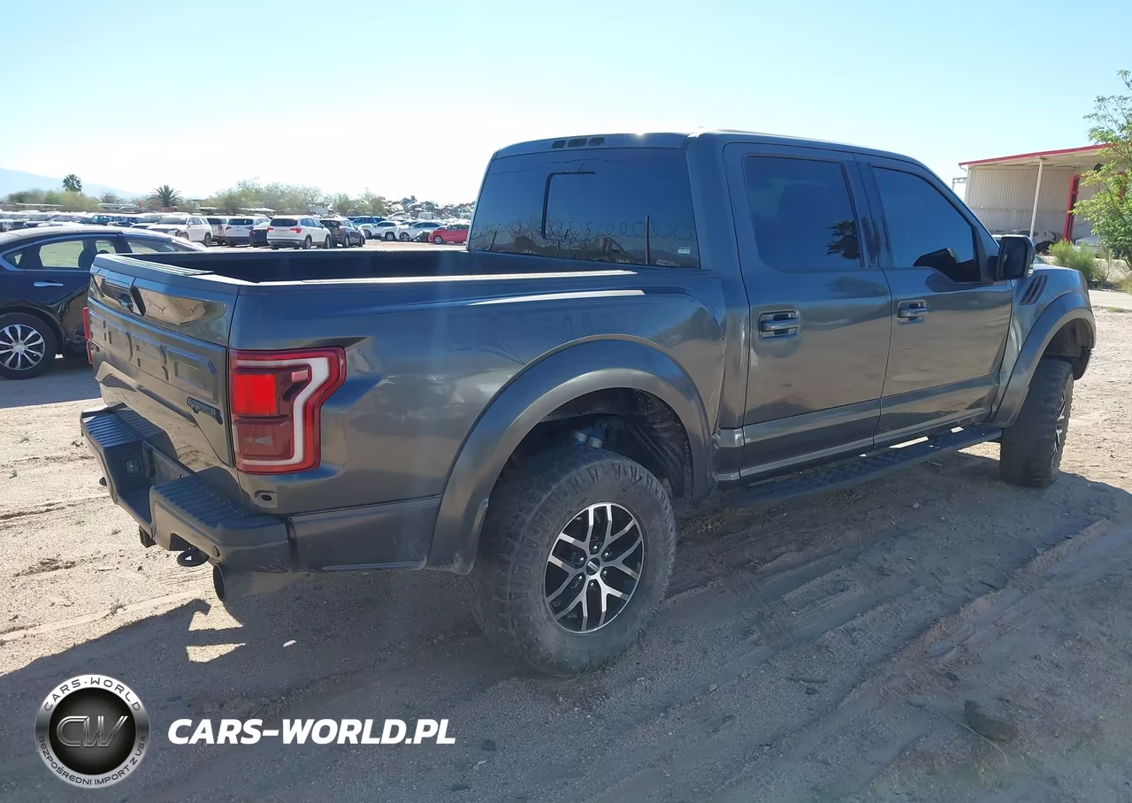 2018 Ford F-150 Raptor VIN:1FTFW1RG5JFC02328 - 4