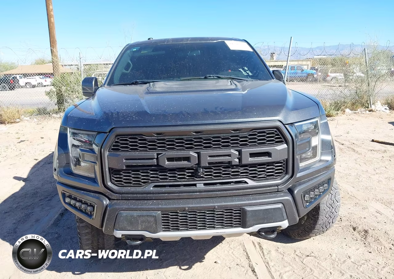 2018 Ford F-150 Raptor VIN:1FTFW1RG5JFC02328 - 6