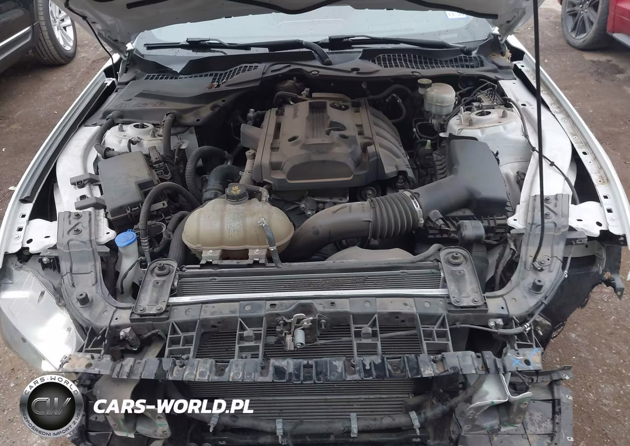 2020 Ford Mustang Ecoboost Premium Fastback VIN:1FA6P8TH7L5134703 - 10