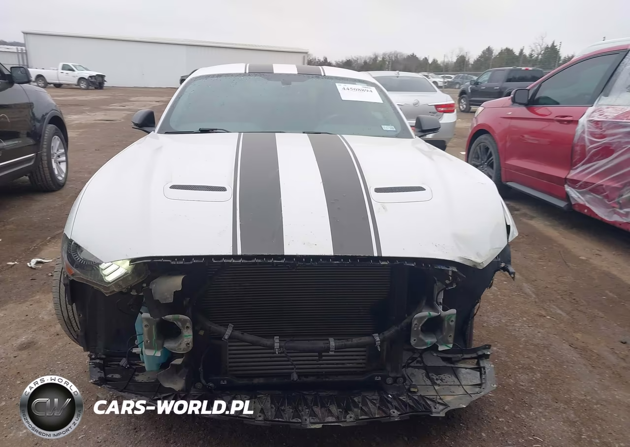 2020 Ford Mustang Ecoboost Premium Fastback VIN:1FA6P8TH7L5134703 - 13