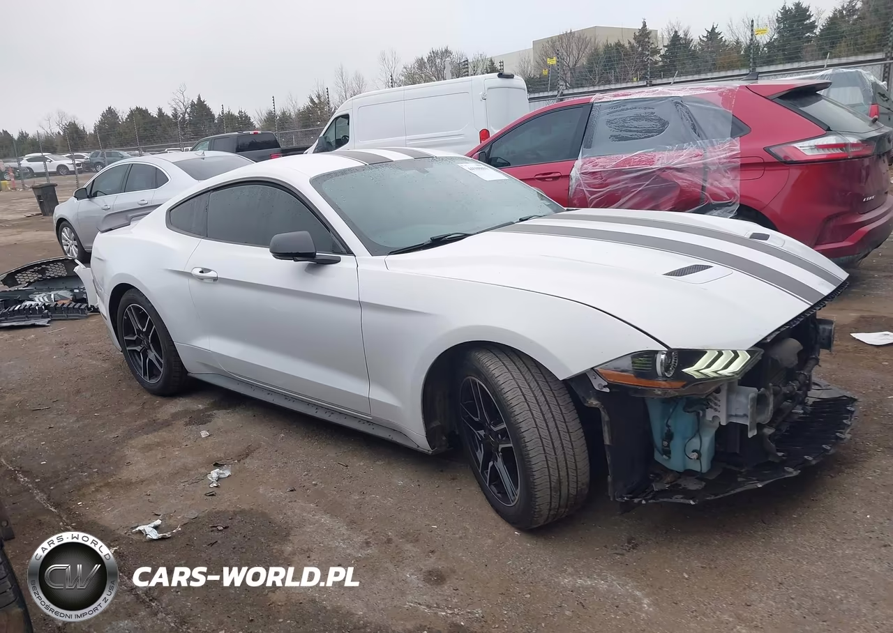 2020 Ford Mustang Ecoboost Premium Fastback VIN:1FA6P8TH7L5134703 - 14