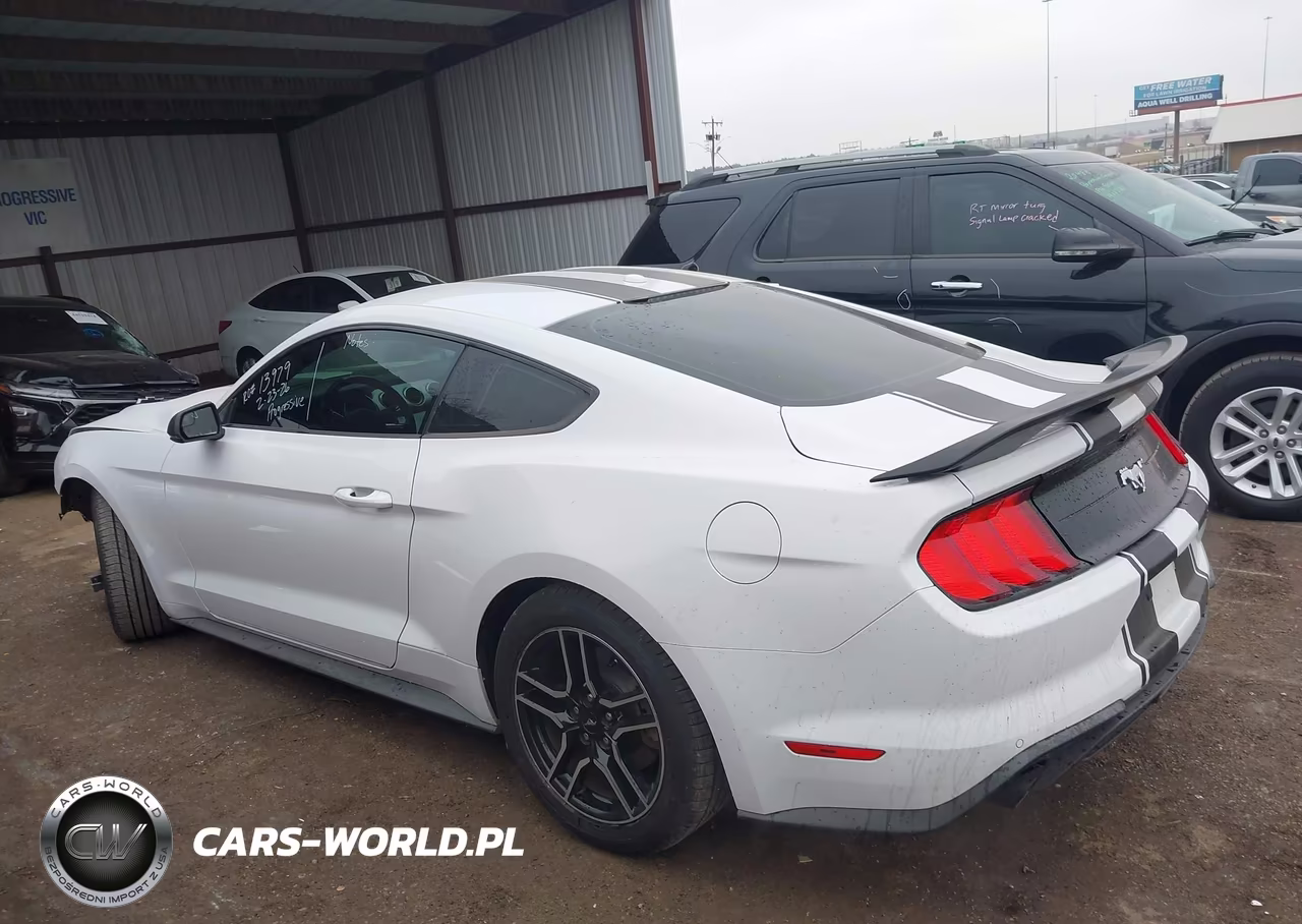 2020 Ford Mustang Ecoboost Premium Fastback VIN:1FA6P8TH7L5134703 - 15