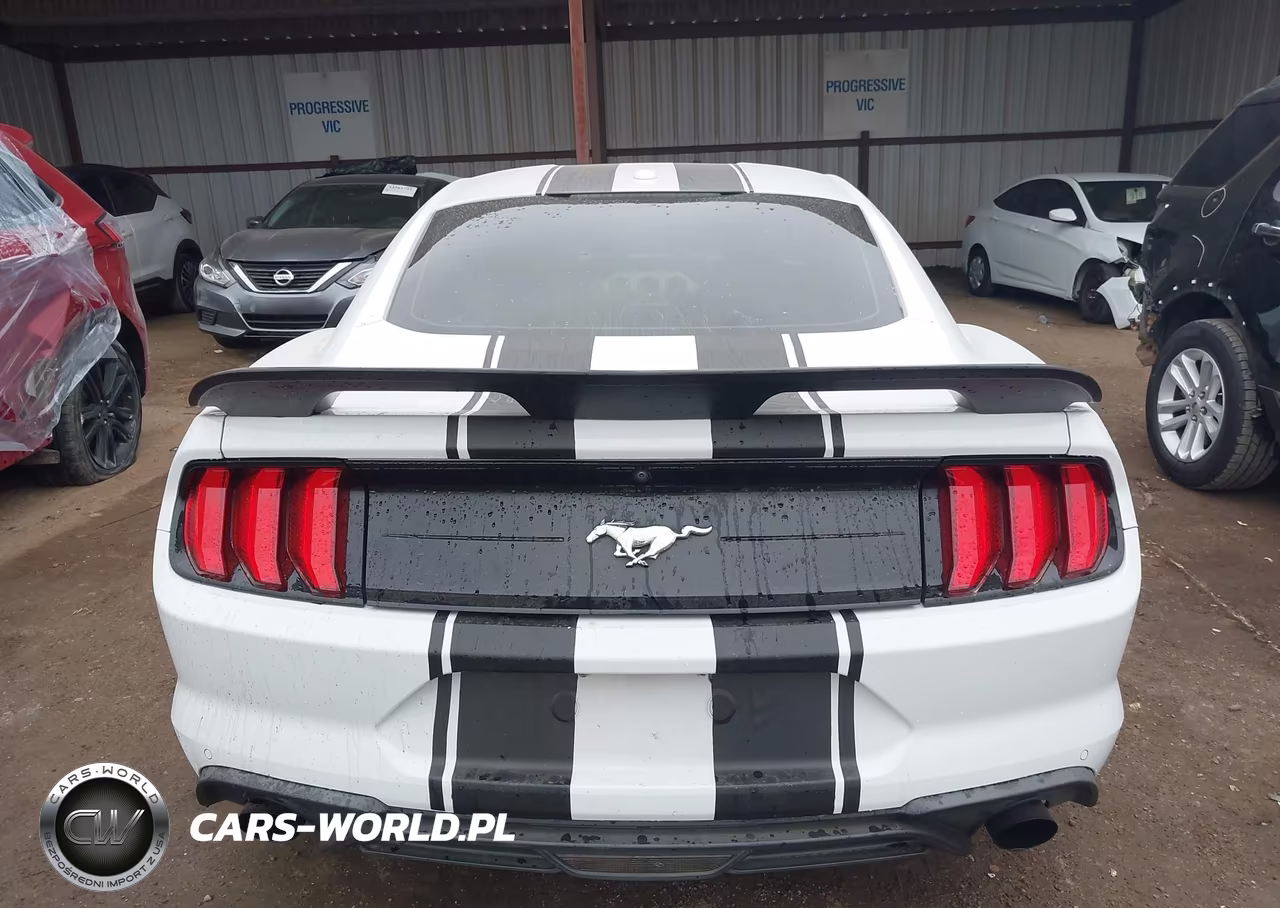 2020 Ford Mustang Ecoboost Premium Fastback VIN:1FA6P8TH7L5134703 - 17