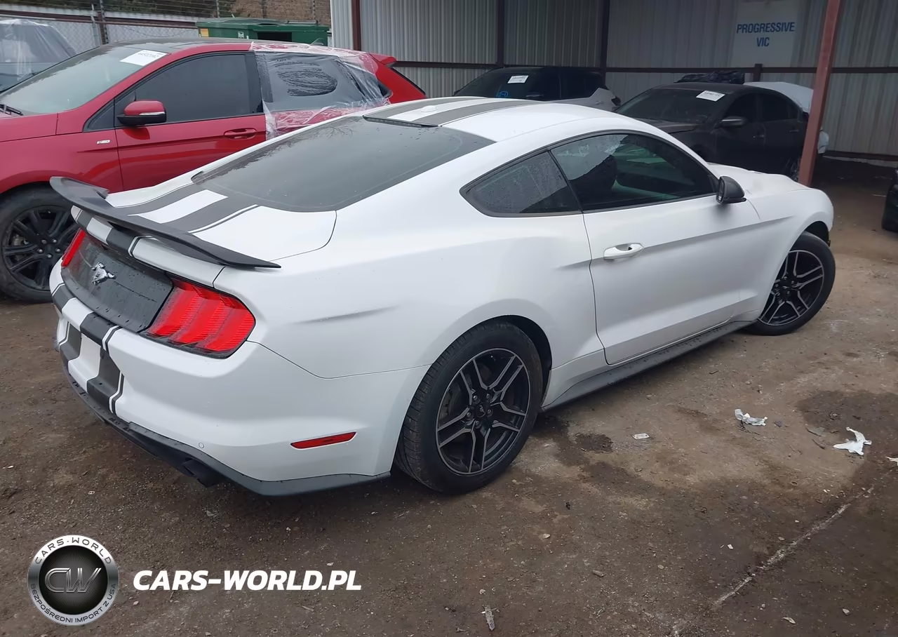 2020 Ford Mustang Ecoboost Premium Fastback VIN:1FA6P8TH7L5134703 - 4