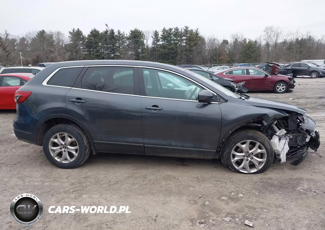 2015 Mazda Cx-9 Sport VIN:JM3TB3BV8F0456796 - 13