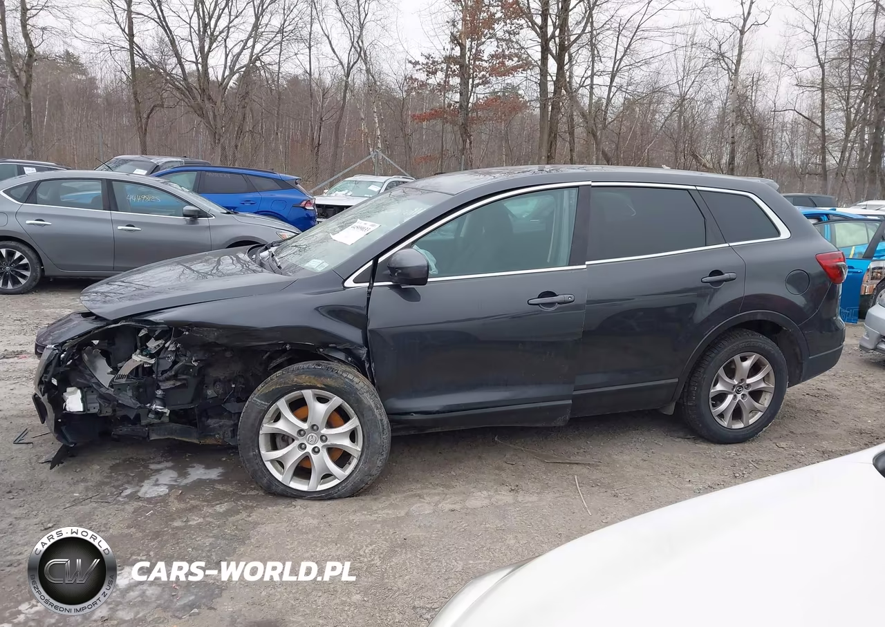 2015 Mazda Cx-9 Sport VIN:JM3TB3BV8F0456796 - 14