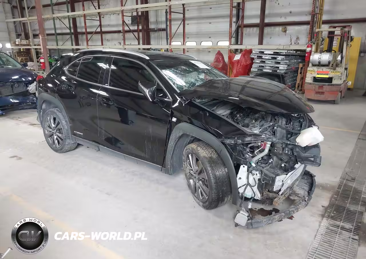2019 Lexus Ux 250H F Sport