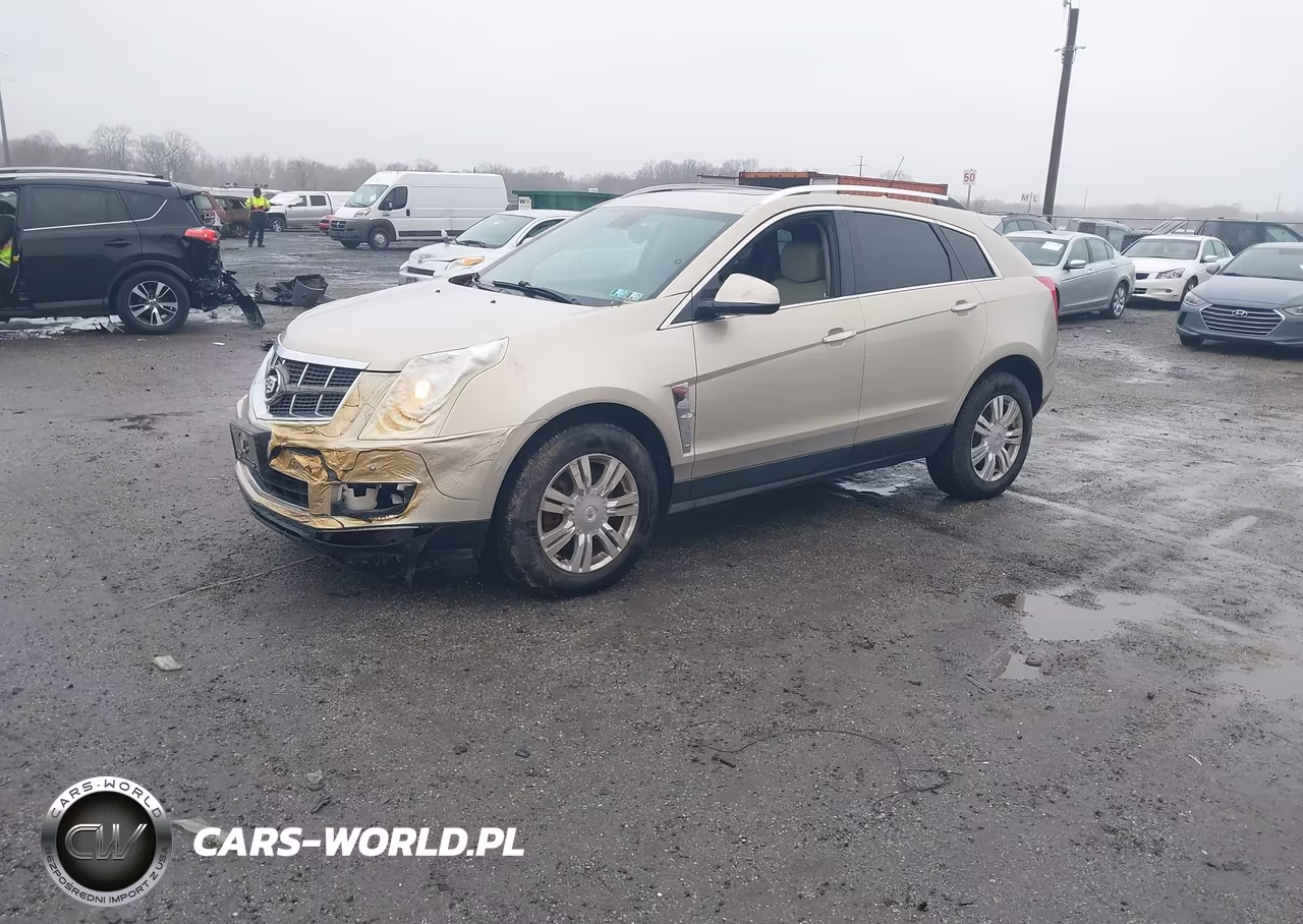 2010 Cadillac Srx Luxury Collection VIN:3GYFNDEY3AS622856 - 2
