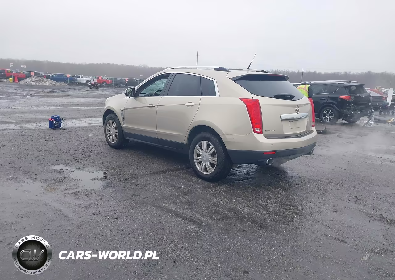 2010 Cadillac Srx Luxury Collection VIN:3GYFNDEY3AS622856 - 3