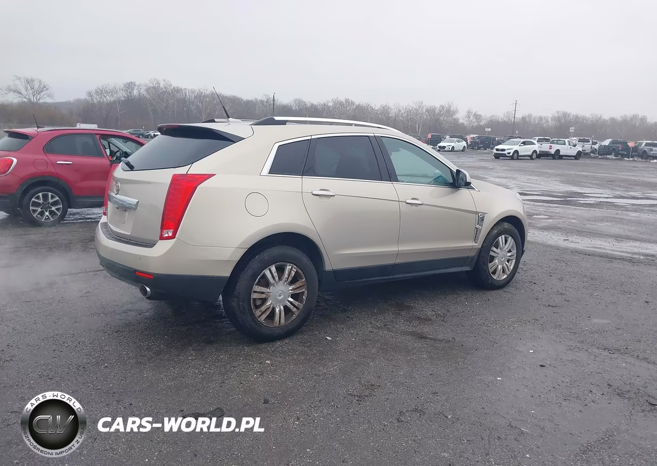 2010 Cadillac Srx Luxury Collection VIN:3GYFNDEY3AS622856 - 4