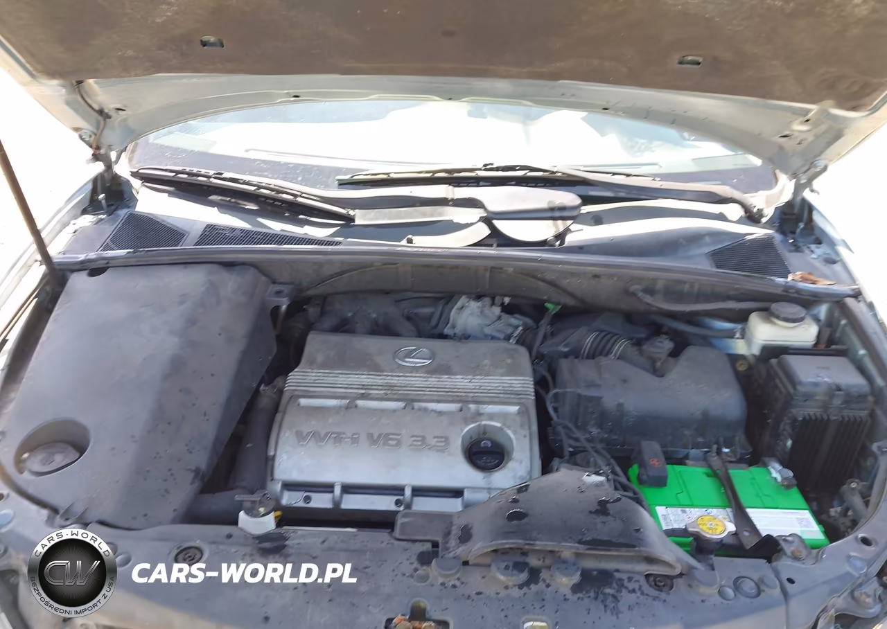 2005 Lexus Rx 330 VIN:2T2GA31UX5C042585 - 10