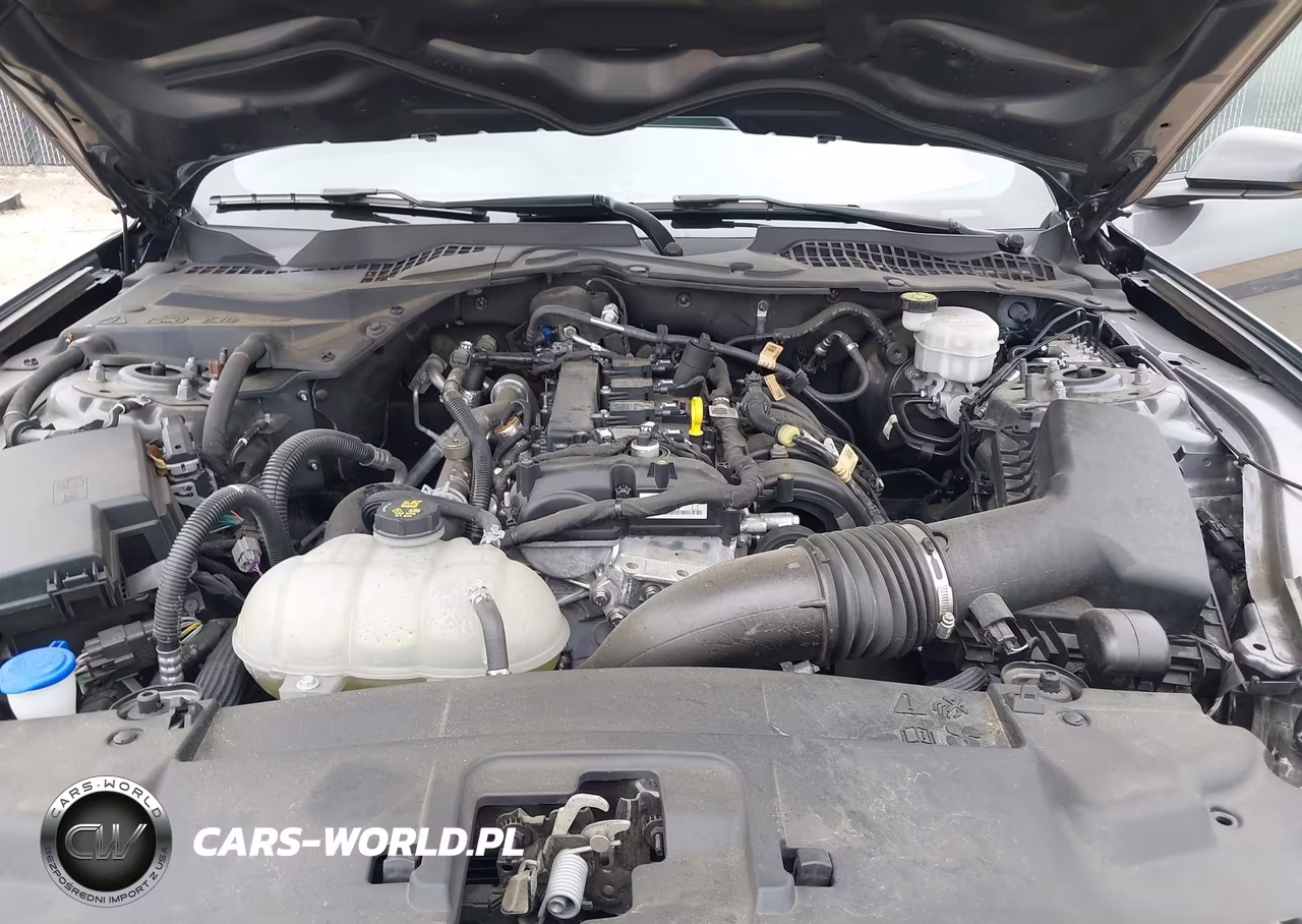 2021 Ford Mustang Ecoboost Fastback VIN:1FA6P8TH4M5148284 - 10