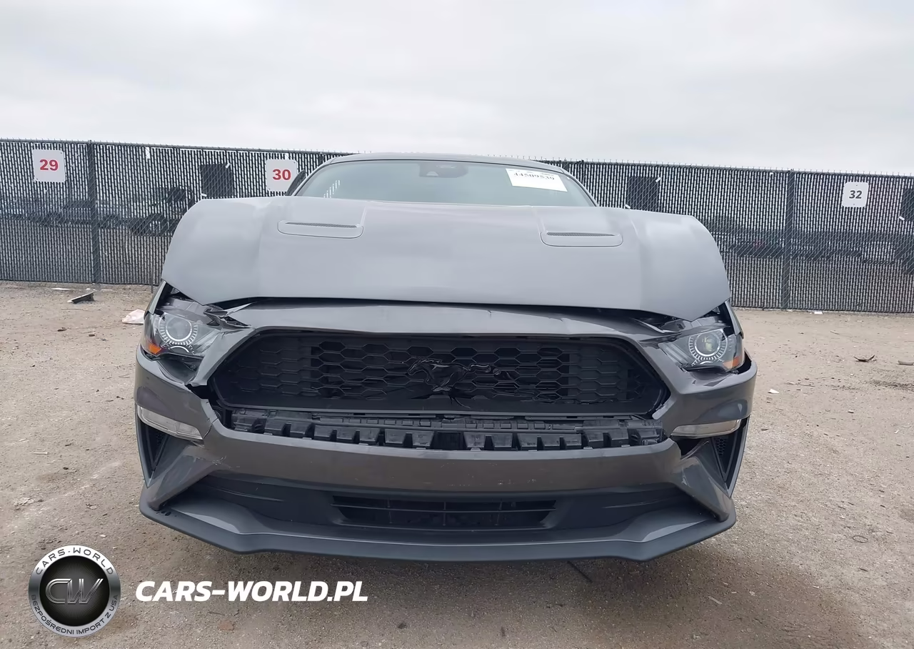 2021 Ford Mustang Ecoboost Fastback VIN:1FA6P8TH4M5148284 - 12