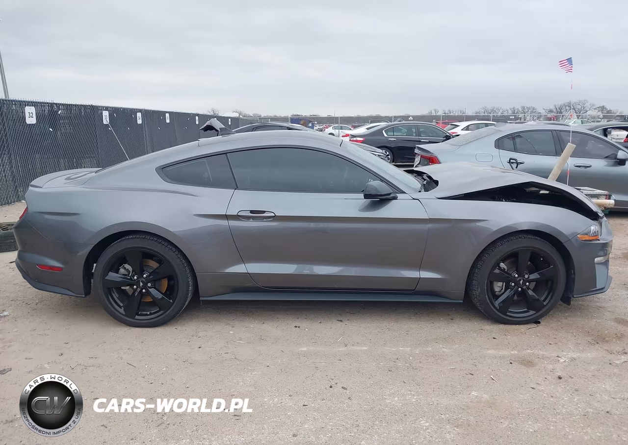 2021 Ford Mustang Ecoboost Fastback VIN:1FA6P8TH4M5148284 - 13