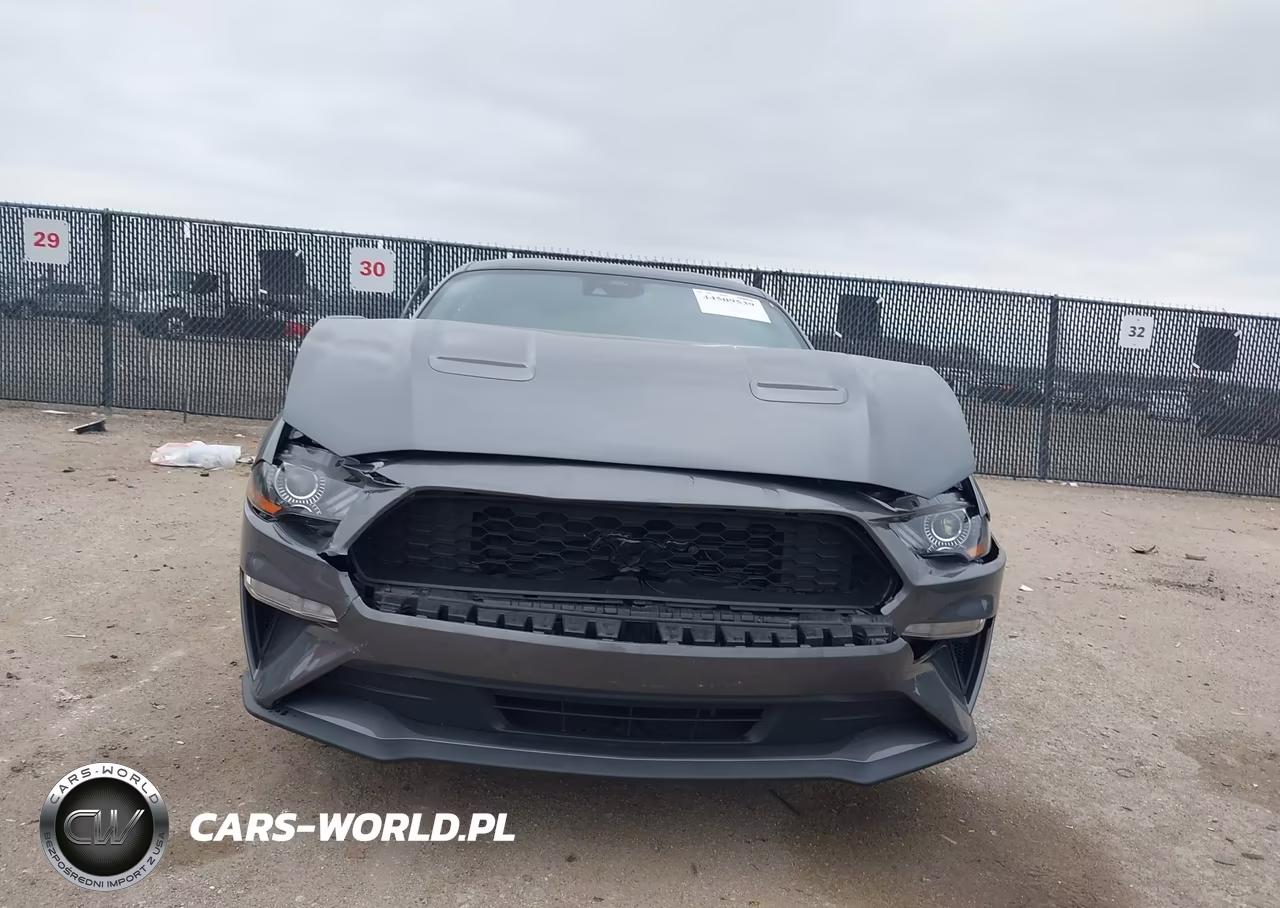 2021 Ford Mustang Ecoboost Fastback VIN:1FA6P8TH4M5148284 - 6