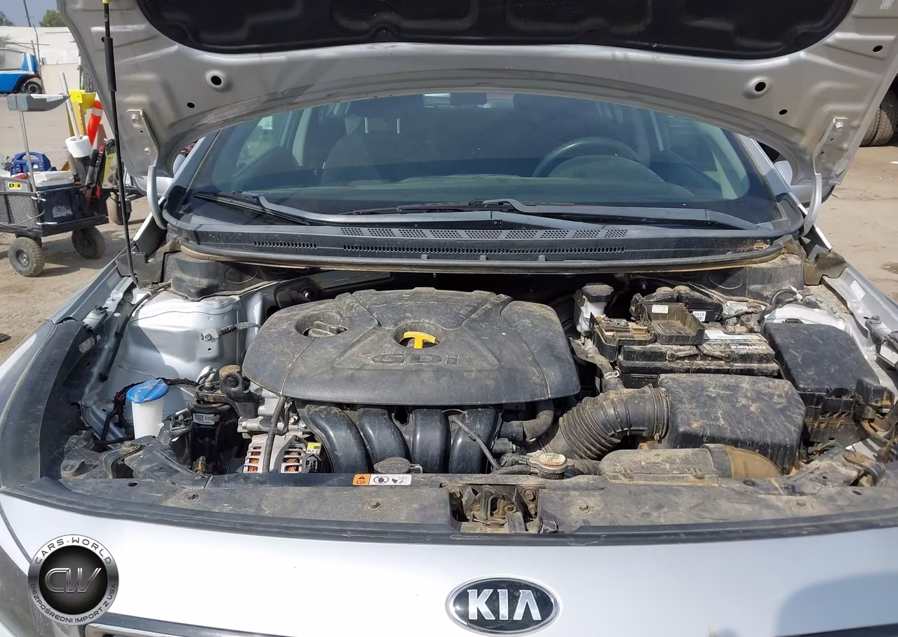 2017 Kia Forte Lx VIN:KNAFK5A82H5697334 - 10