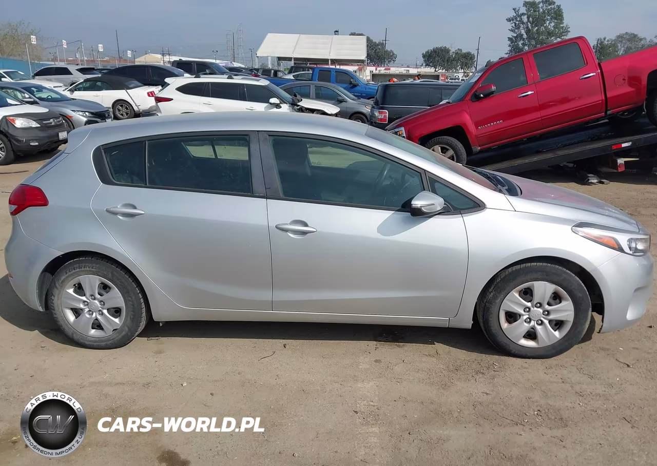 2017 Kia Forte Lx VIN:KNAFK5A82H5697334 - 13