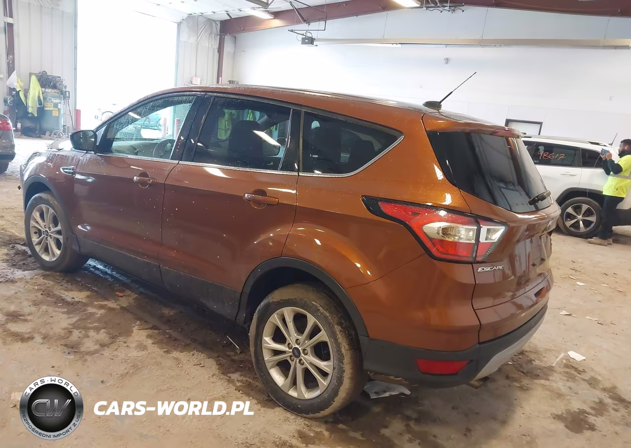2017 Ford Escape Se VIN:1FMCU0GD8HUC24028 - 3