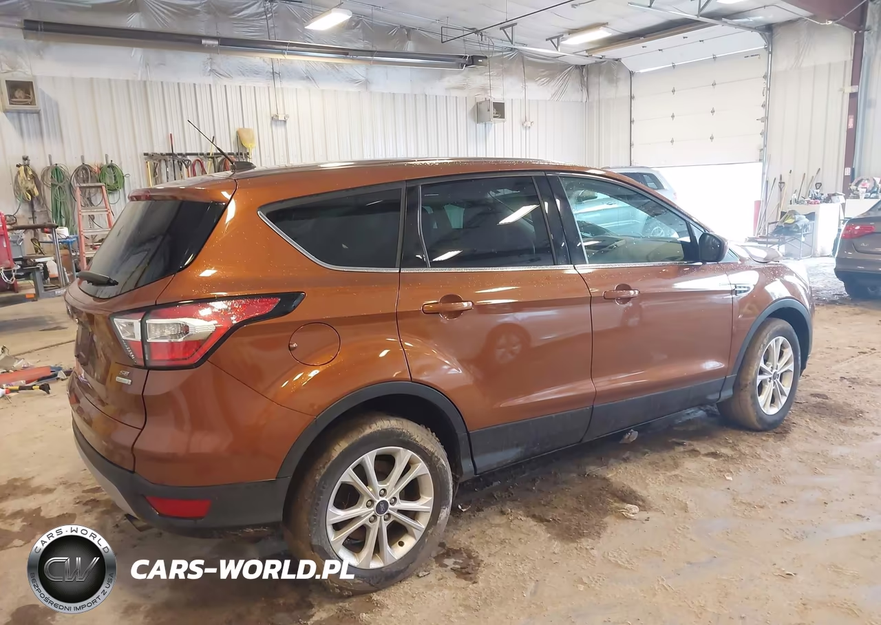 2017 Ford Escape Se VIN:1FMCU0GD8HUC24028 - 4