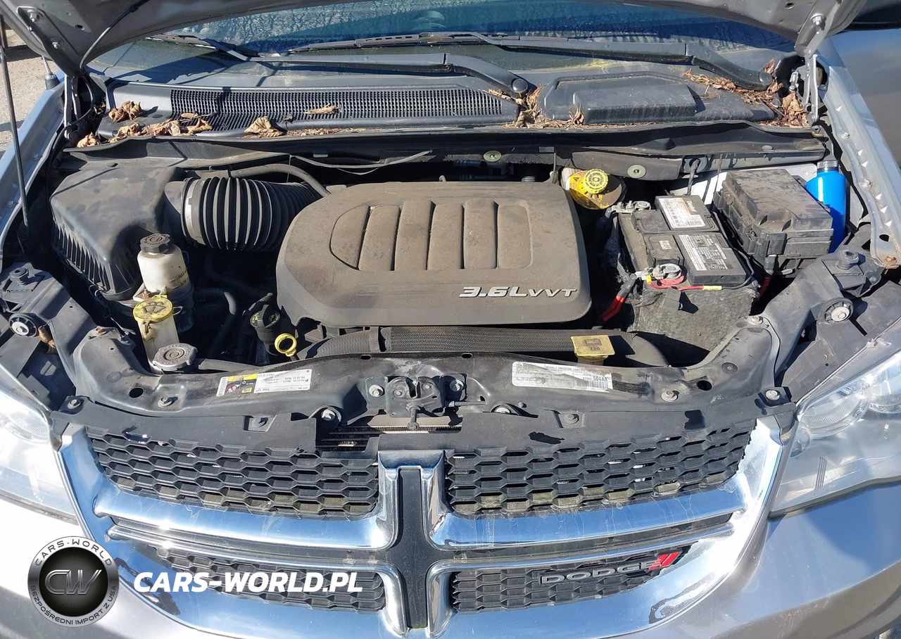 2016 Dodge Grand Caravan Se VIN:2C4RDGBG2GR209609 - 10