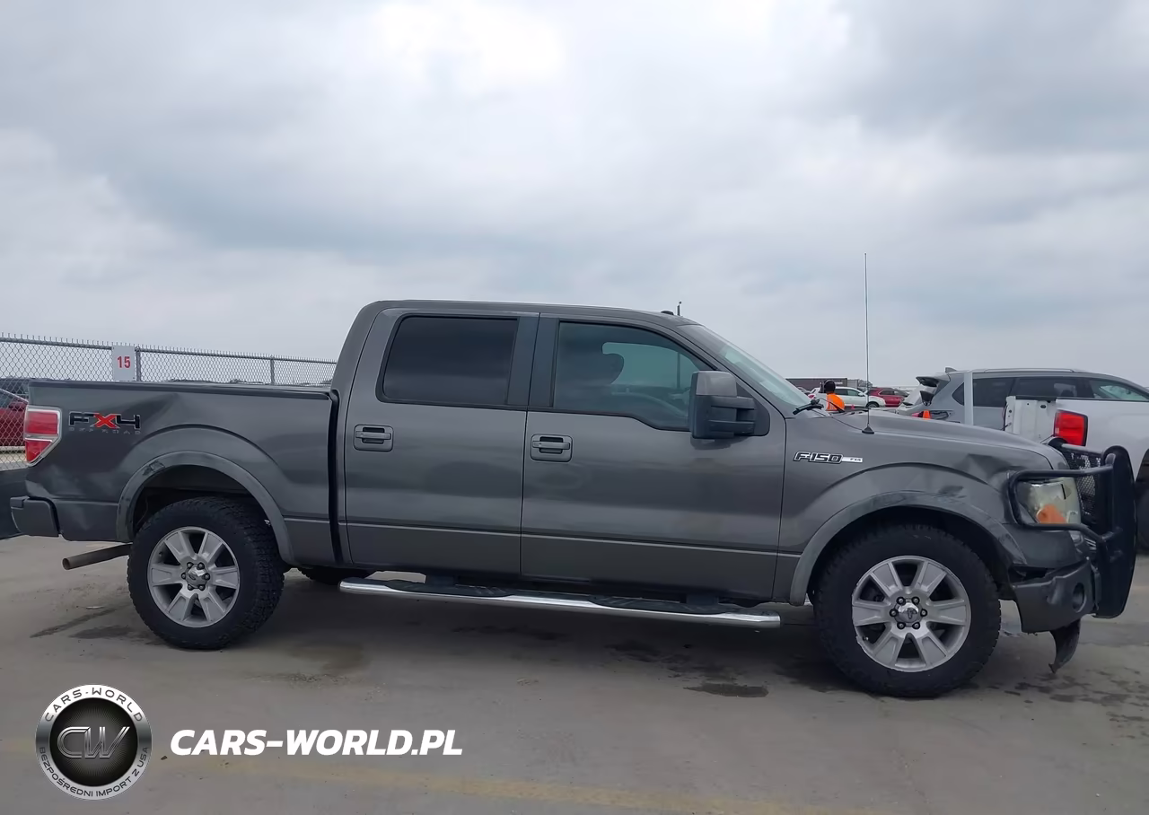 2009 Ford F-150 Fx4-King Ranch-Lariat-Platinum-Xl-Xlt VIN:1FTPW14V49KC75624 - 13