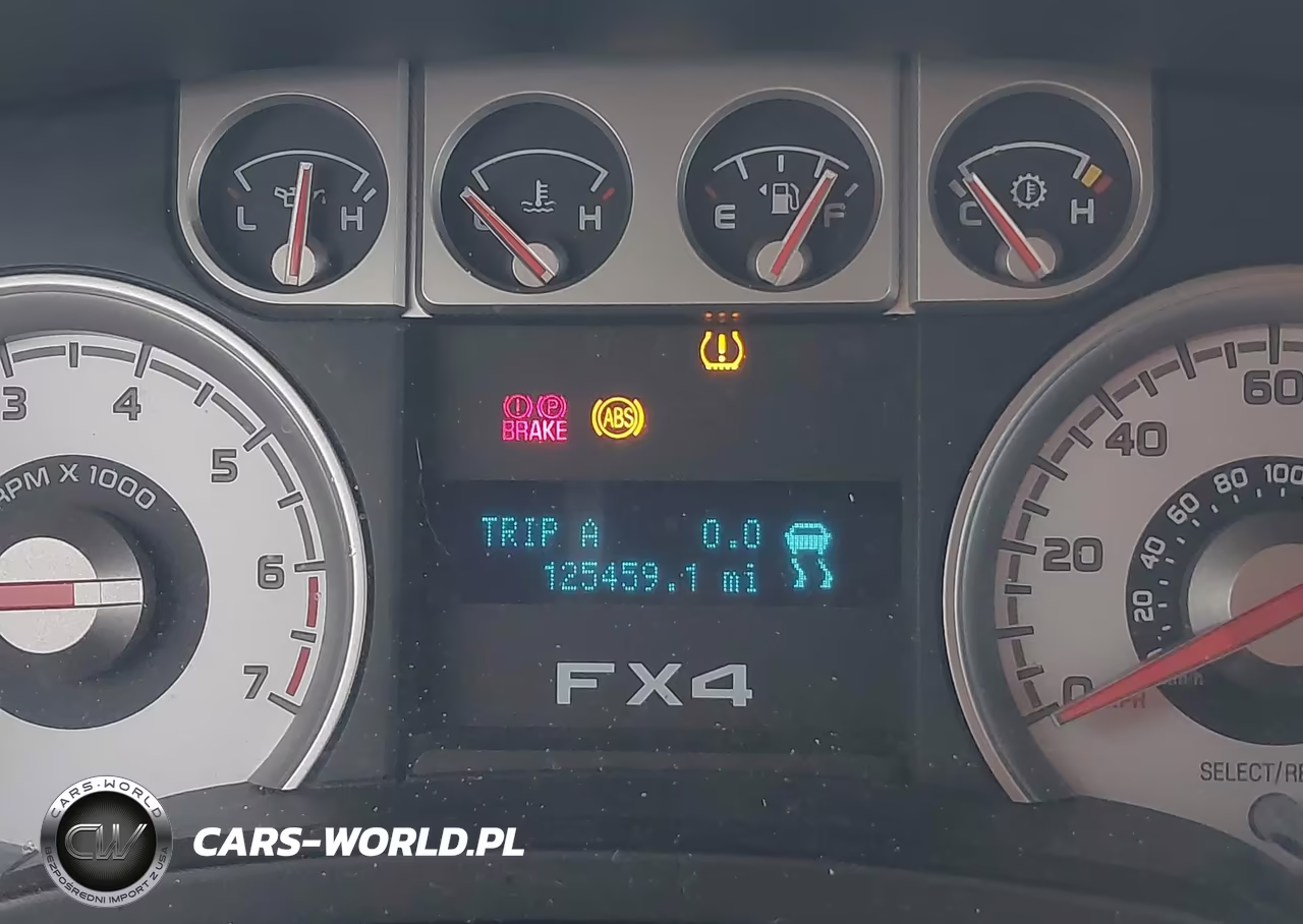 2009 Ford F-150 Fx4-King Ranch-Lariat-Platinum-Xl-Xlt VIN:1FTPW14V49KC75624 - 15