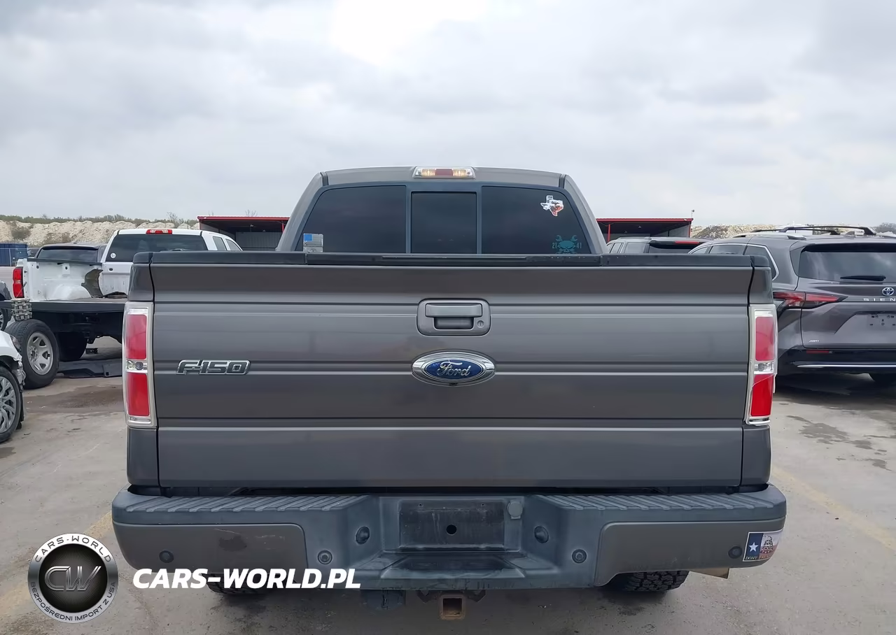 2009 Ford F-150 Fx4-King Ranch-Lariat-Platinum-Xl-Xlt VIN:1FTPW14V49KC75624 - 16