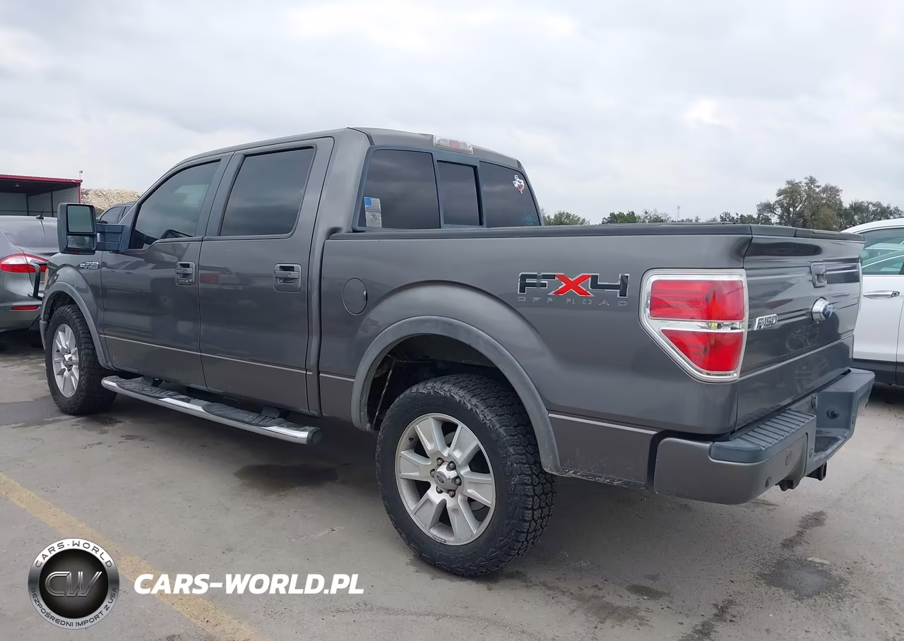 2009 Ford F-150 Fx4-King Ranch-Lariat-Platinum-Xl-Xlt VIN:1FTPW14V49KC75624 - 3