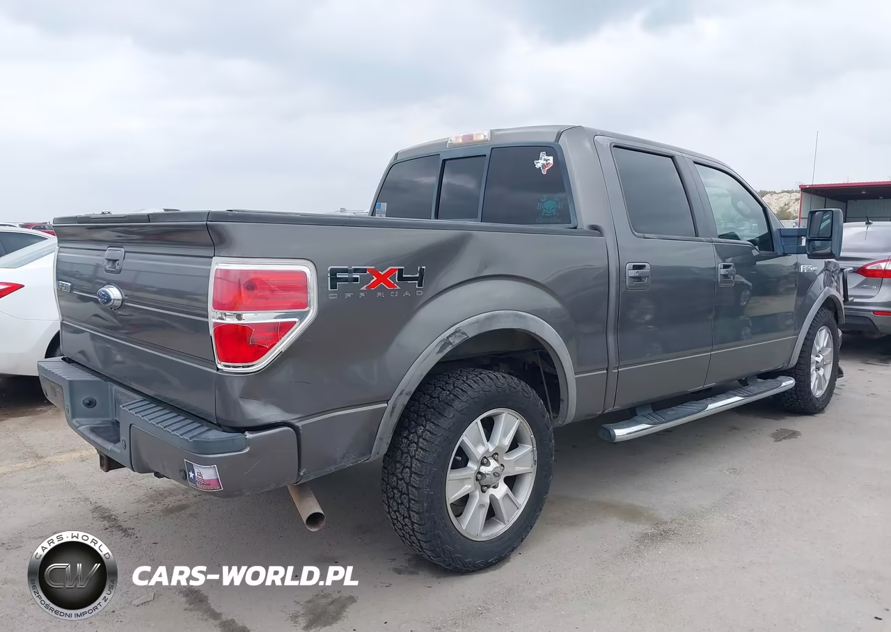 2009 Ford F-150 Fx4-King Ranch-Lariat-Platinum-Xl-Xlt VIN:1FTPW14V49KC75624 - 4