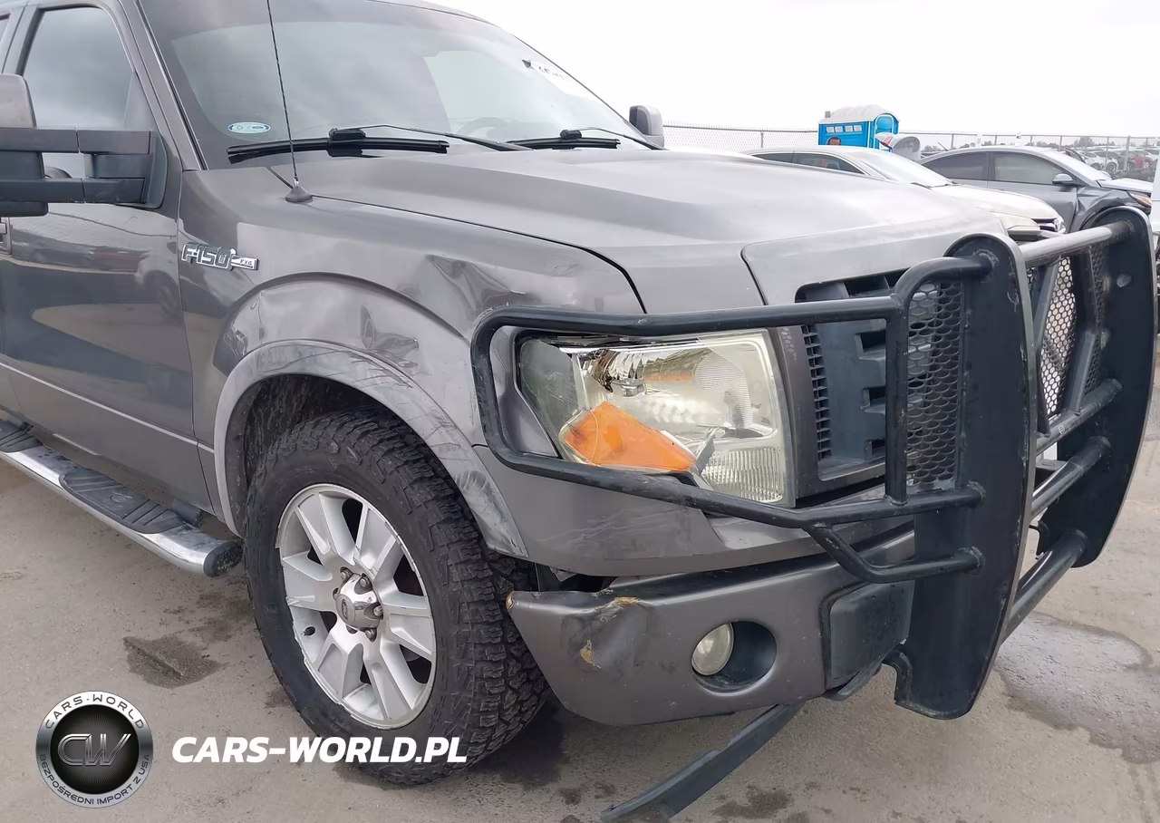2009 Ford F-150 Fx4-King Ranch-Lariat-Platinum-Xl-Xlt VIN:1FTPW14V49KC75624 - 6