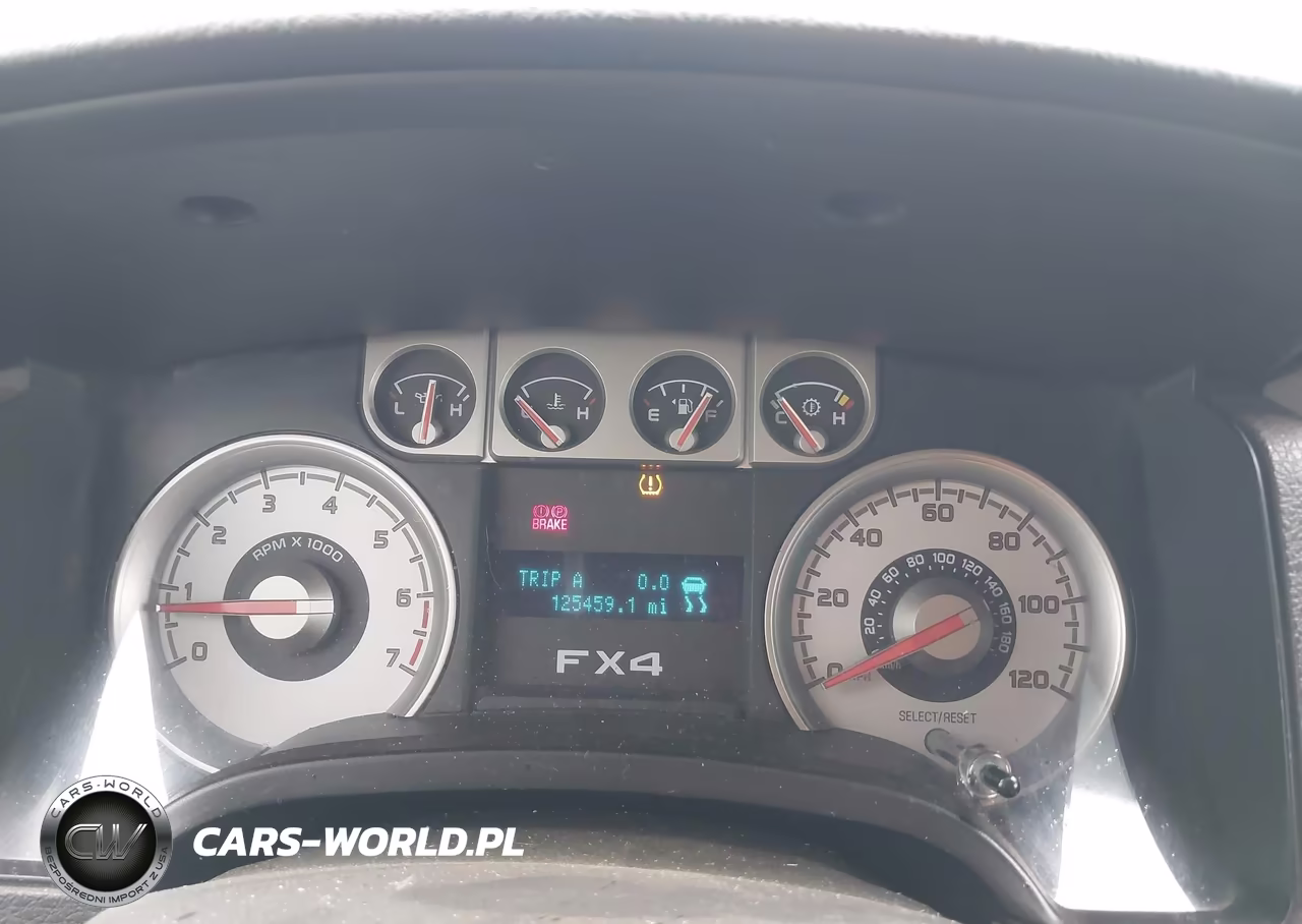 2009 Ford F-150 Fx4-King Ranch-Lariat-Platinum-Xl-Xlt VIN:1FTPW14V49KC75624 - 7