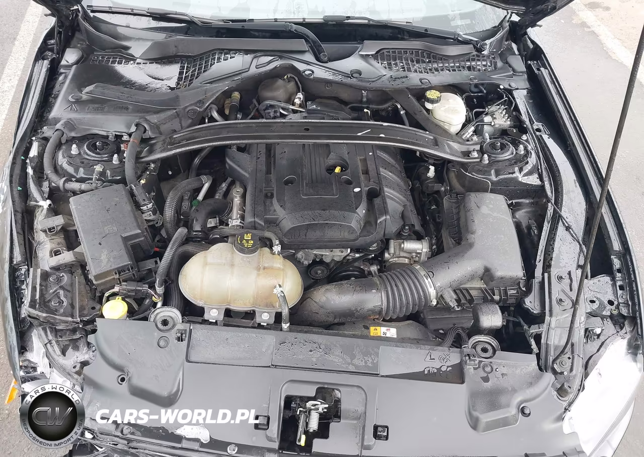 2018 Ford Mustang Ecoboost VIN:1FA6P8TH3J5105728 - 10