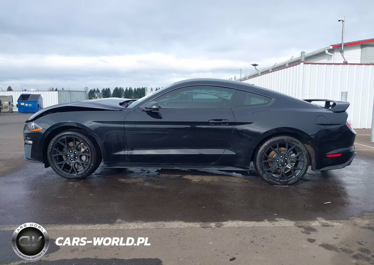 2018 Ford Mustang Ecoboost VIN:1FA6P8TH3J5105728 - 15