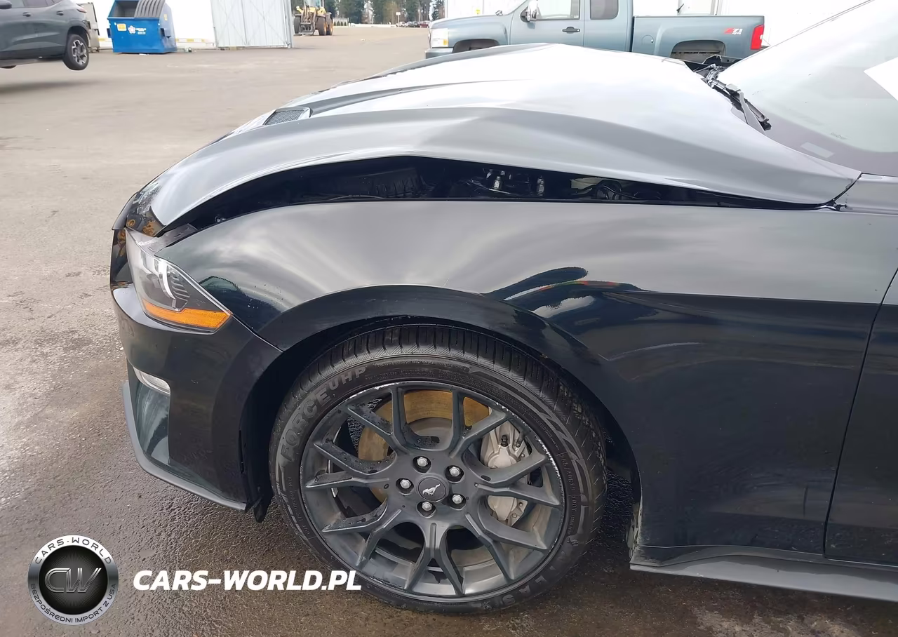 2018 Ford Mustang Ecoboost VIN:1FA6P8TH3J5105728 - 20