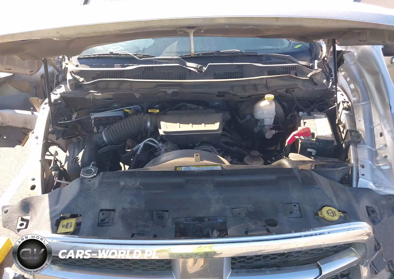 2010 Dodge Ram 1500 Slt-Sport-Trx VIN:1D7RB1GP4AS248466 - 10