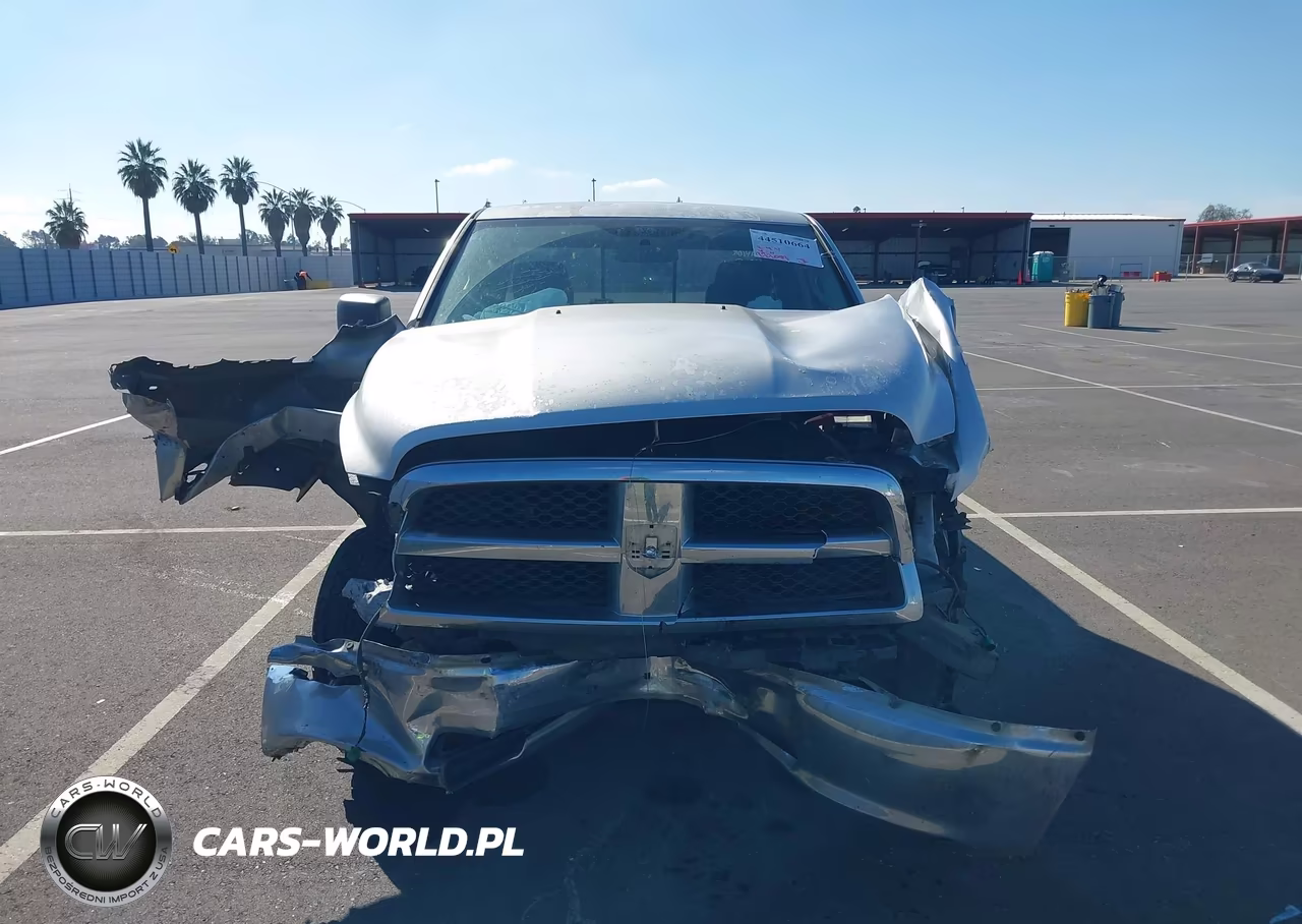 2010 Dodge Ram 1500 Slt-Sport-Trx VIN:1D7RB1GP4AS248466 - 13