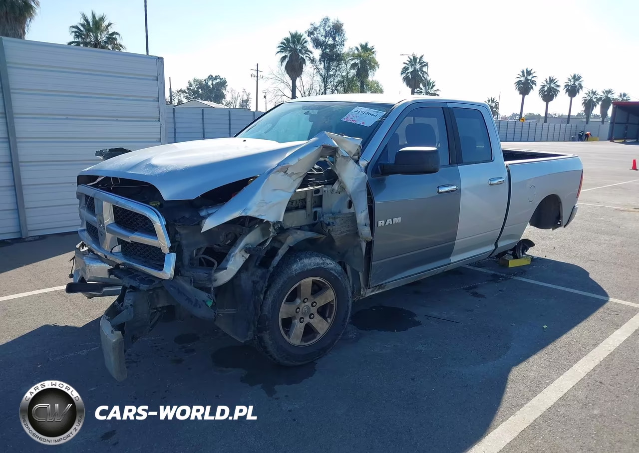2010 Dodge Ram 1500 Slt-Sport-Trx VIN:1D7RB1GP4AS248466 - 2