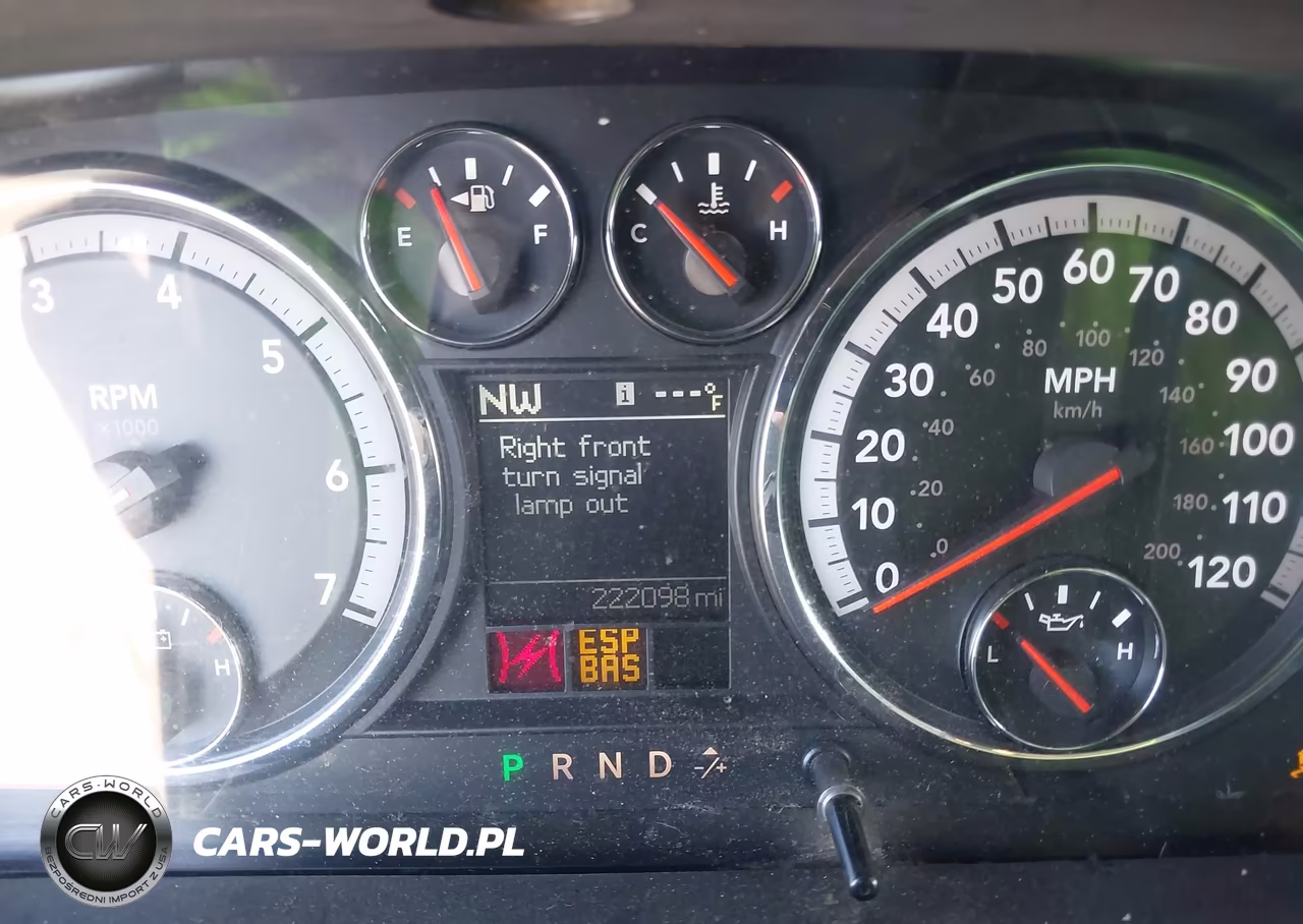 2010 Dodge Ram 1500 Slt-Sport-Trx VIN:1D7RB1GP4AS248466 - 7