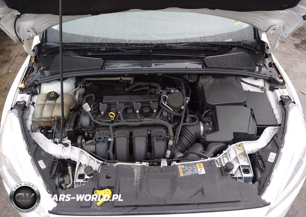 2016 Ford Focus Se VIN:1FADP3F25GL269133 - 10