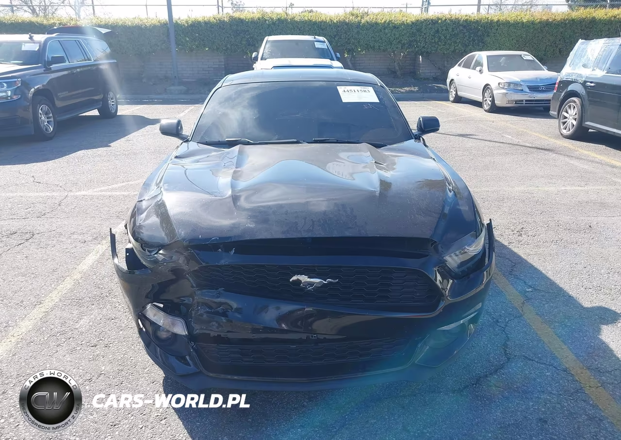 2015 Ford Mustang Ecoboost VIN:1FA6P8TH3F5363397 - 12