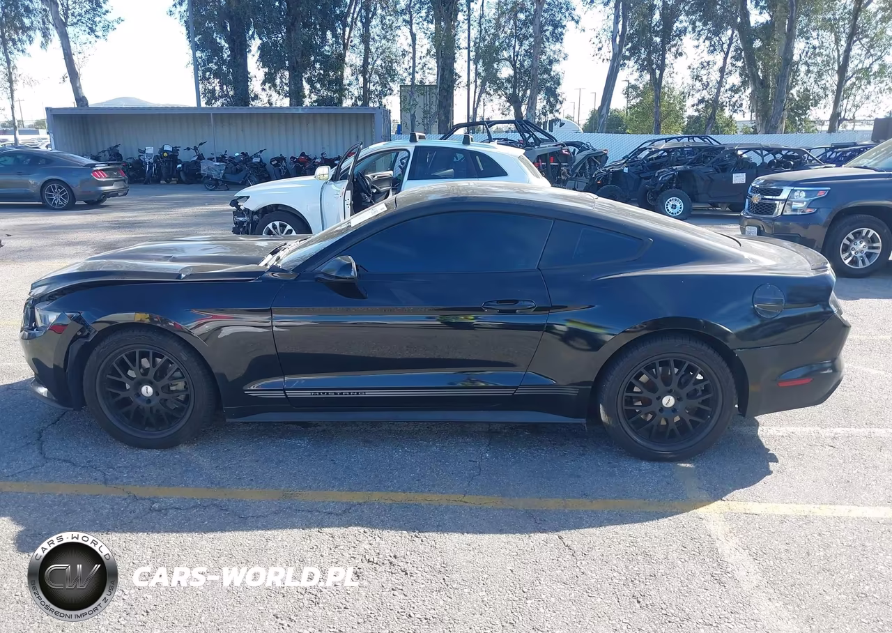 2015 Ford Mustang Ecoboost VIN:1FA6P8TH3F5363397 - 14